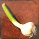 Knoflook